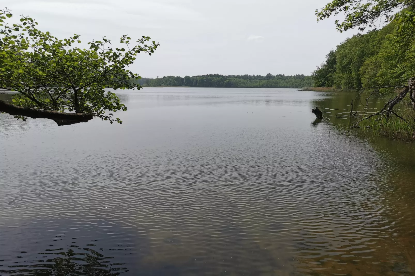 Marina Standard Double Room - Gebieden zomer 5km