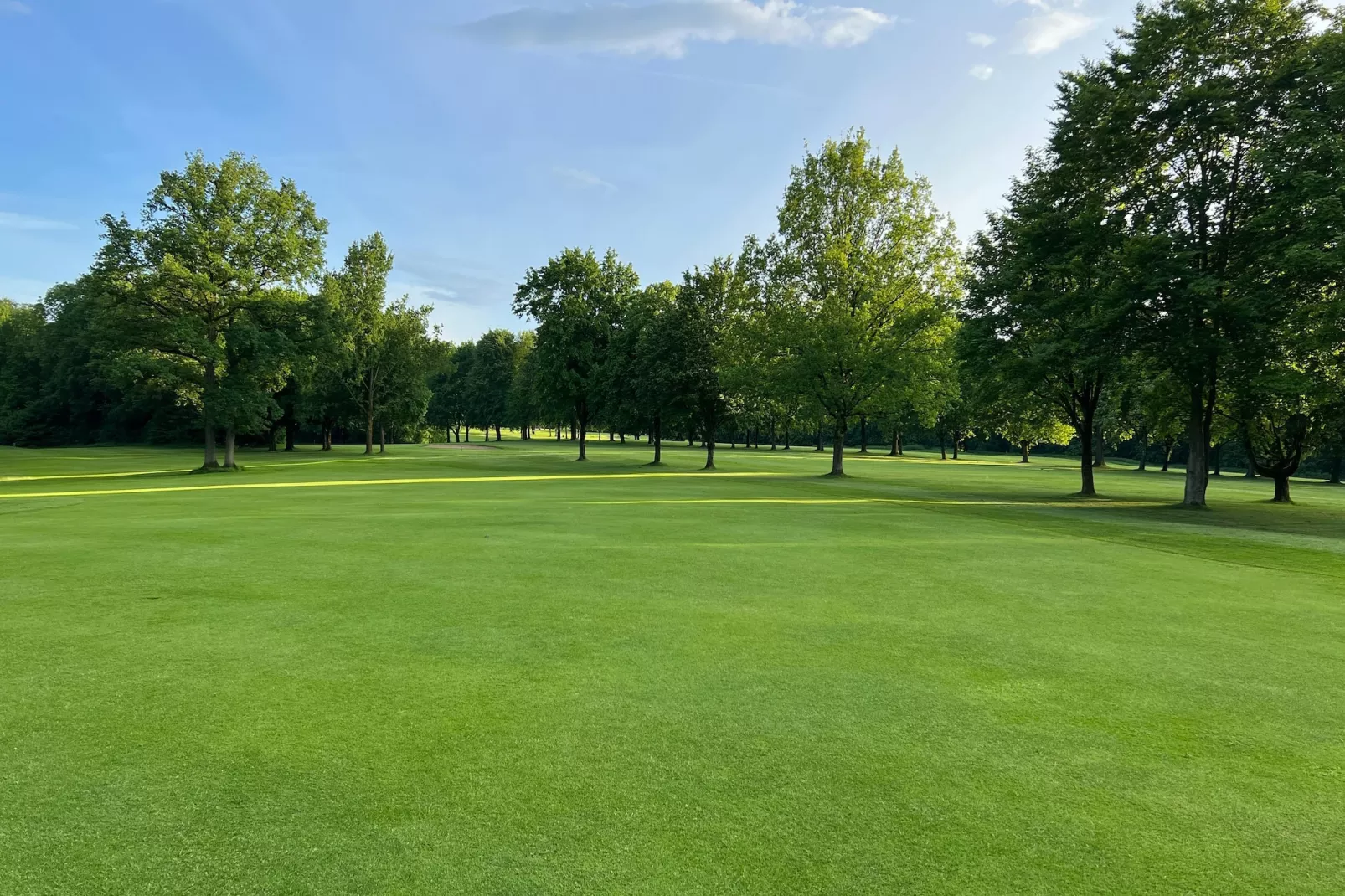 Mercure Hotel - Standard King Room - Gebieden zomer 5km