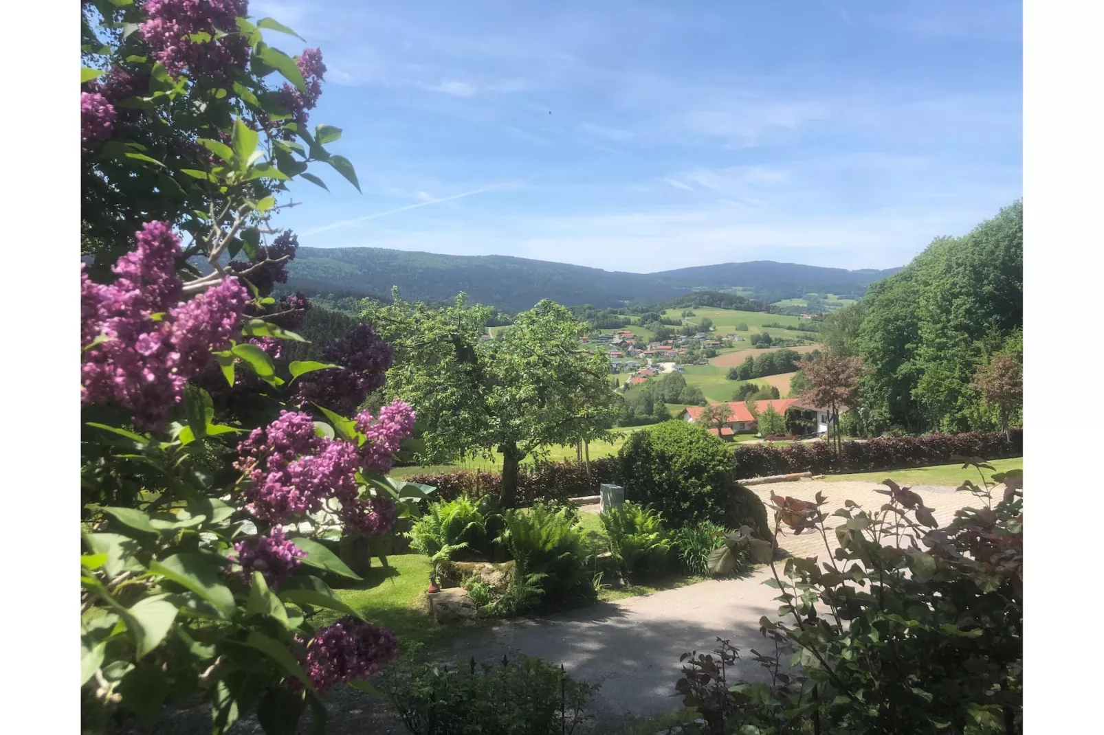 Weidhaus - Uitzicht zomer