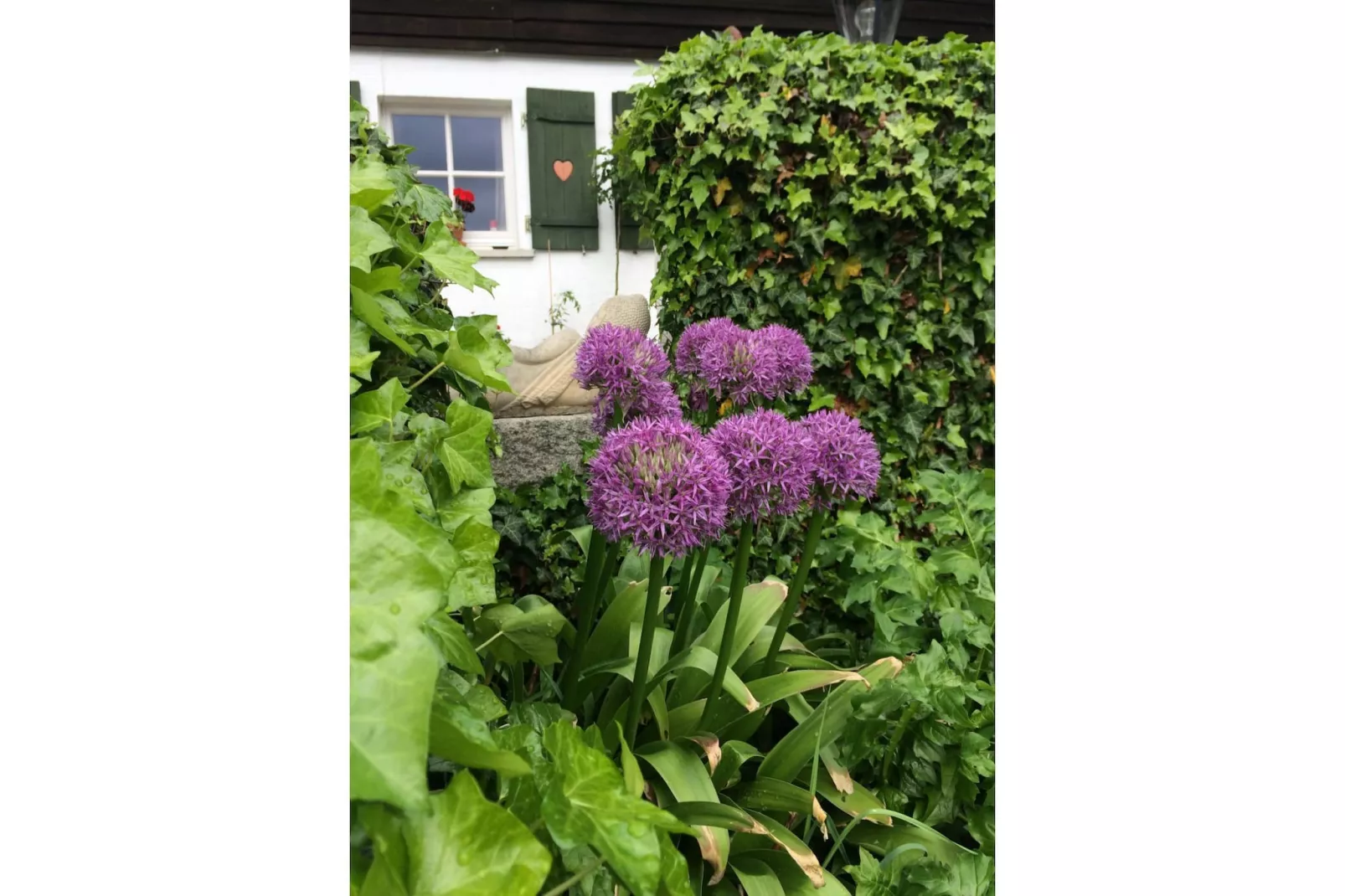 Weidhaus - Tuinen zomer