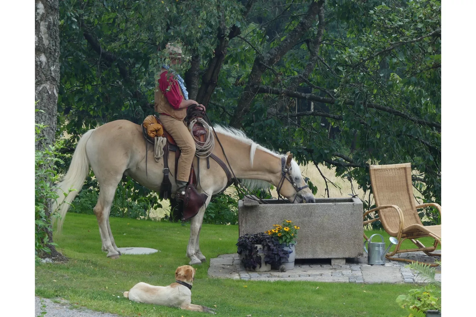 Weidhaus - Tuinen zomer
