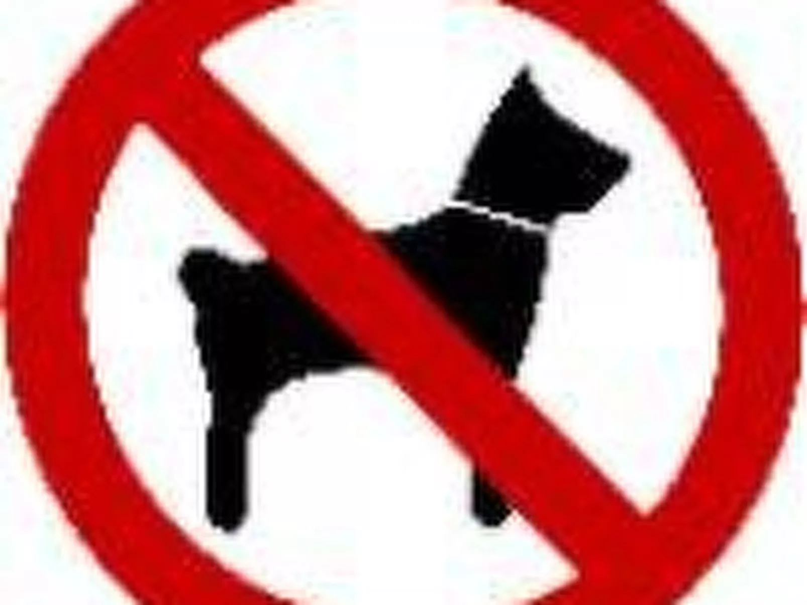 In Rauris mit Terrasse, Grill und Garten - Binnen