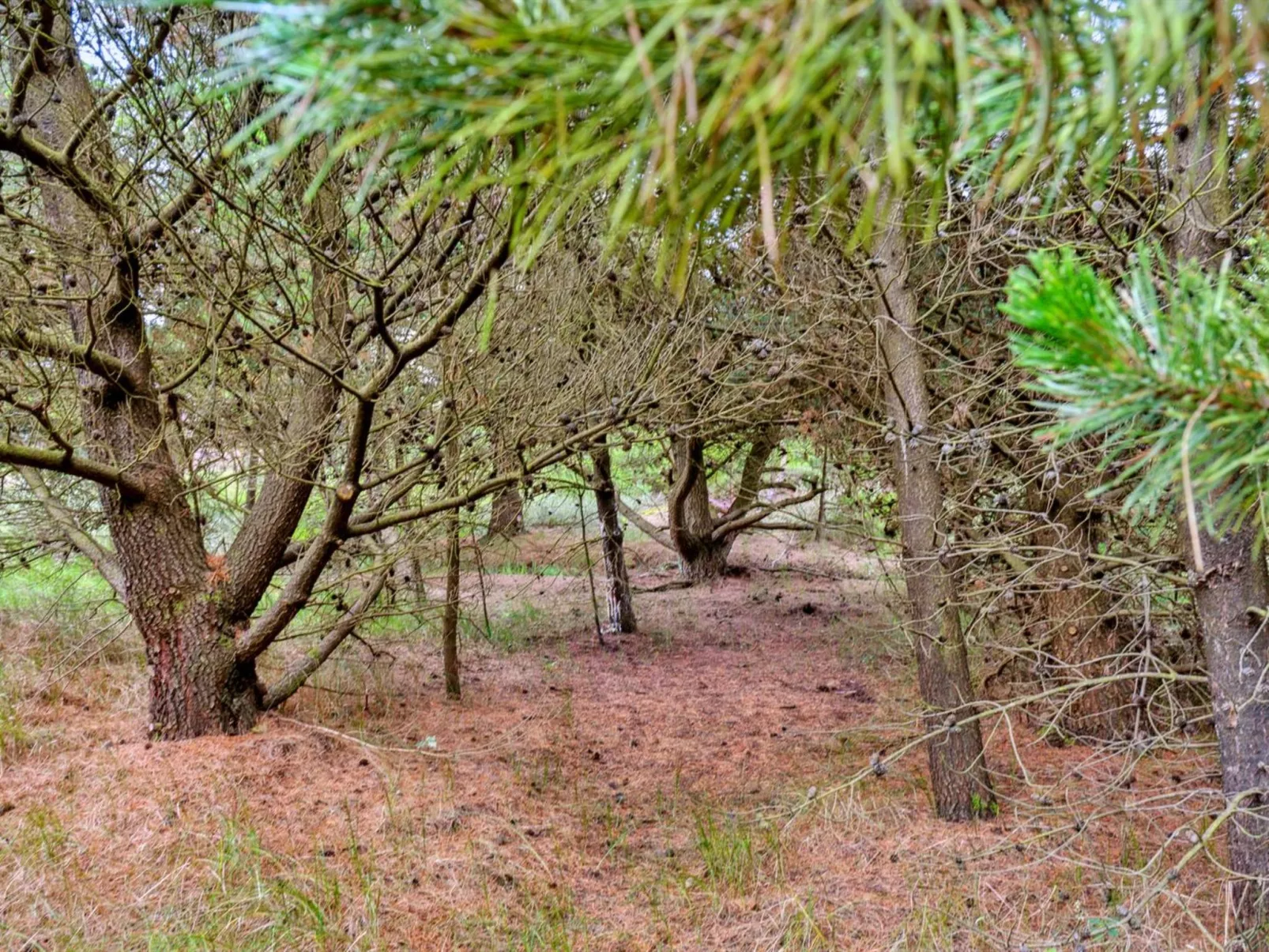 "Urpo" - 6km from the sea - Buiten