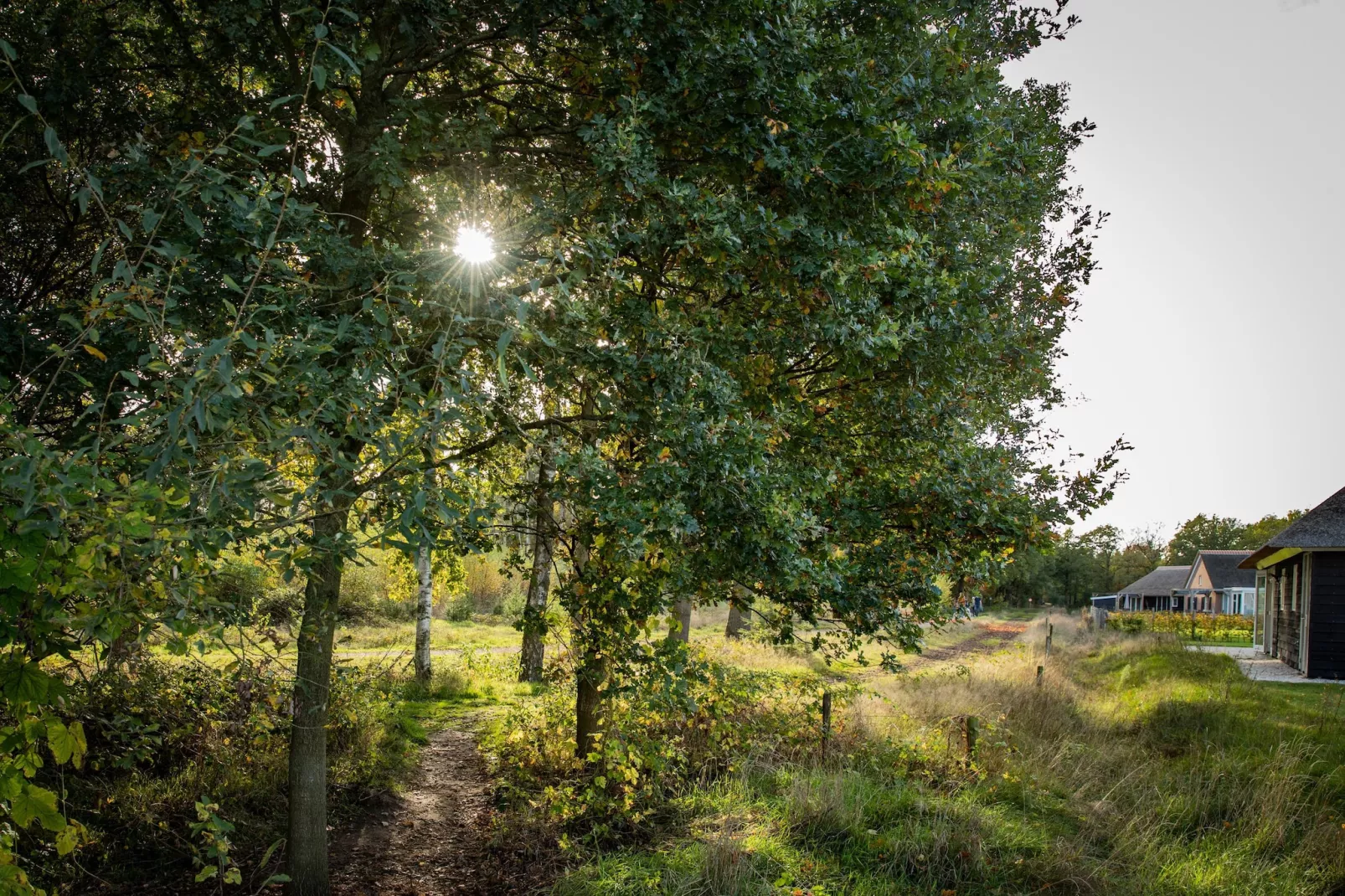Vakantiepark De Heihorsten 5 - Gebieden zomer 1km