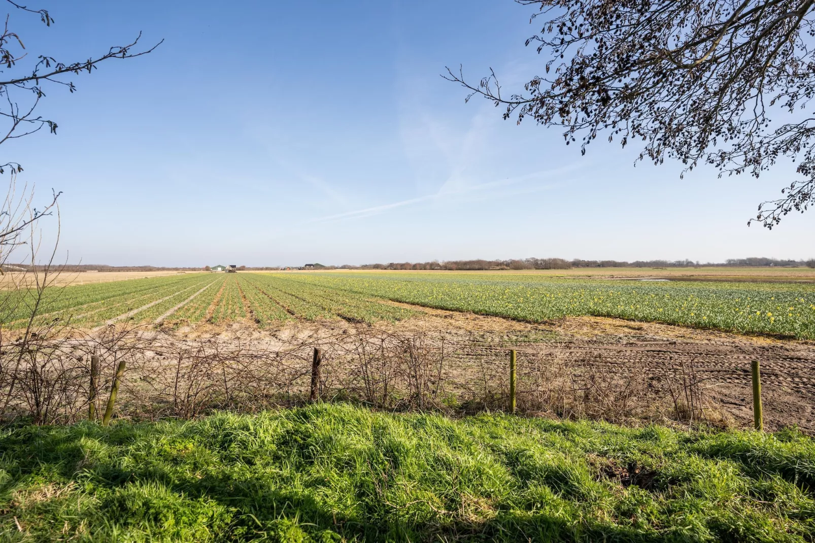 Mienterbos-Heideglop - Gebieden zomer 1km
