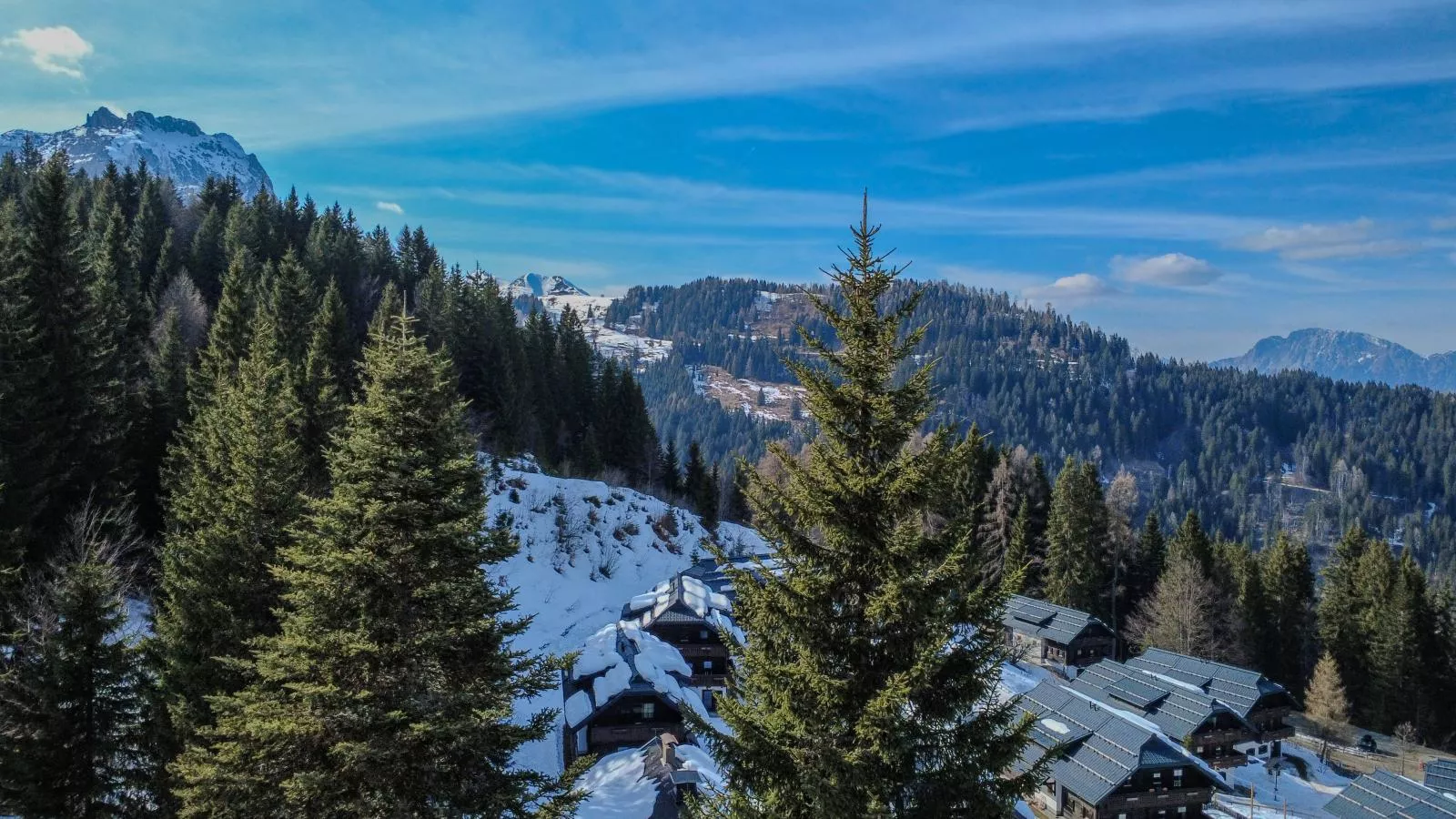 Salburg Sonnleitn - Gebied winter 1km
