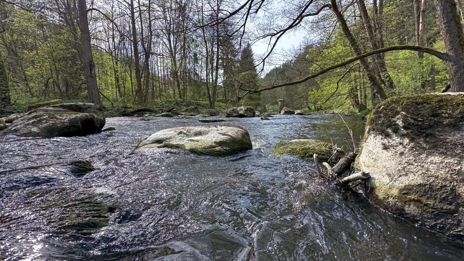 Feriendorf Seeblick - Tiny Chalet Nr 8 - Gebieden zomer 5km