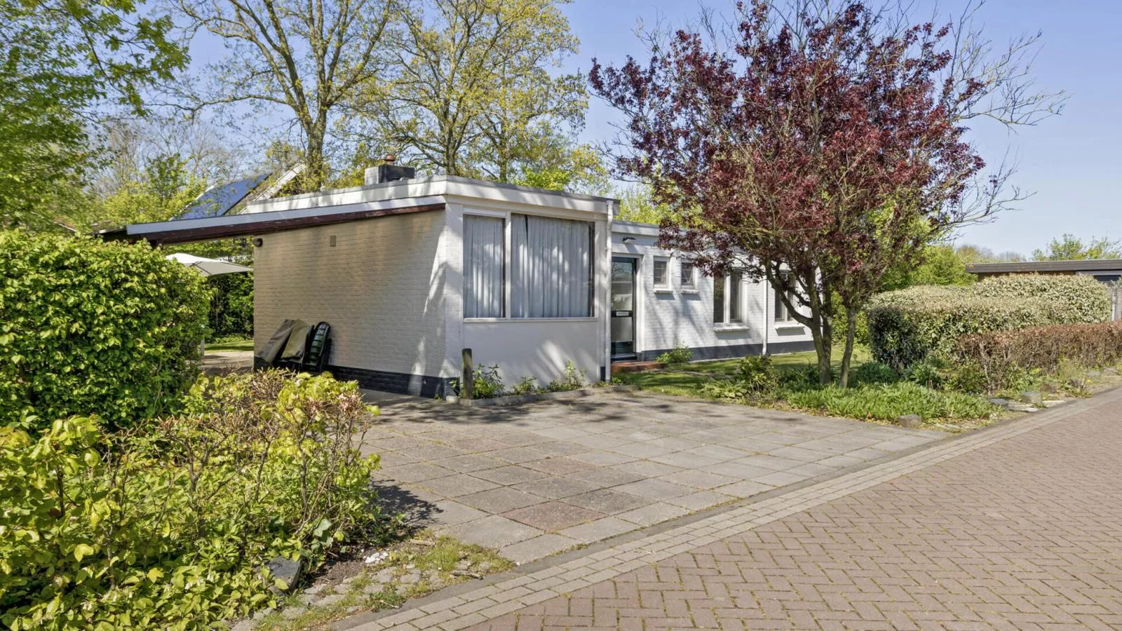 Duinlodge Groot Valkenisse - Buitenkant zomer