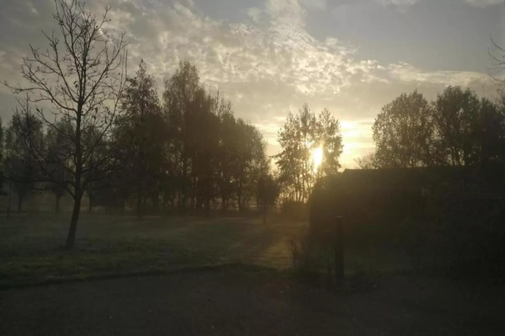 Vakantiepark De Heihorsten 5 - Gebieden zomer 5km