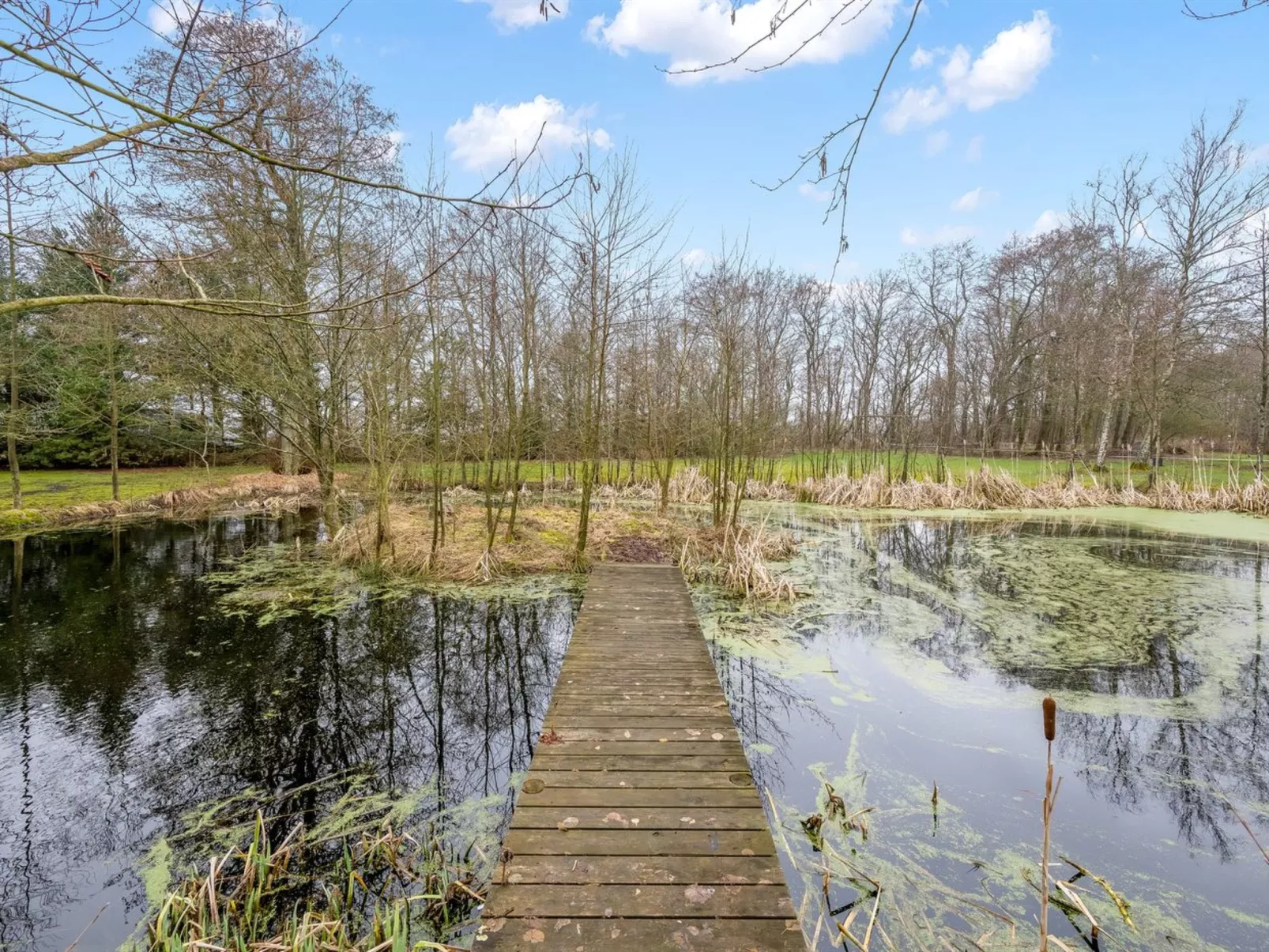 "Blaguna" - 9km to the fjord - Buiten