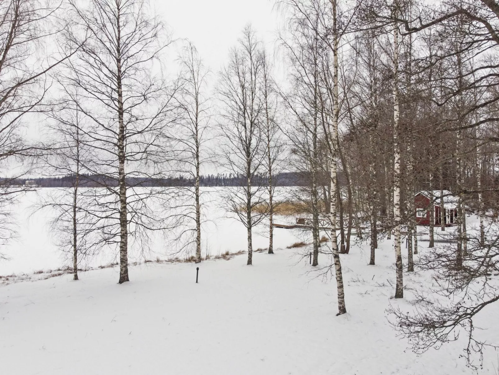 Aurinko vanaja - Binnen