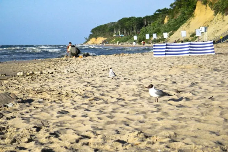 Domy wakacyjne z basenem blisko morza Rewal dom nr 2 - Gebieden zomer 1km