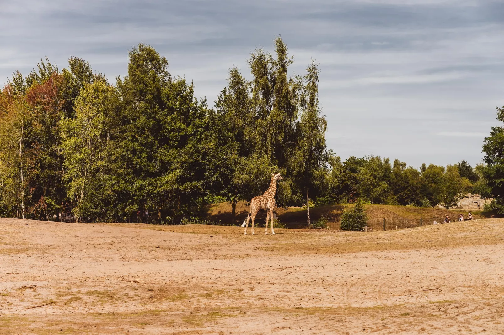 Vakantiepark De Heihorsten 5 - Gebieden zomer 20km