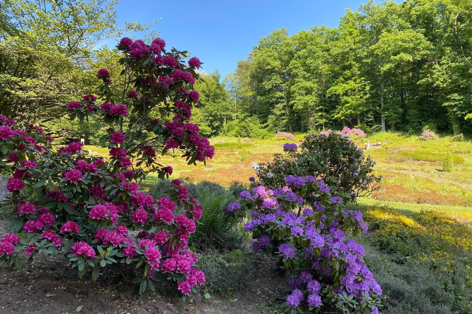 DELUXE DOUBLE ROOM - Gebieden zomer 5km