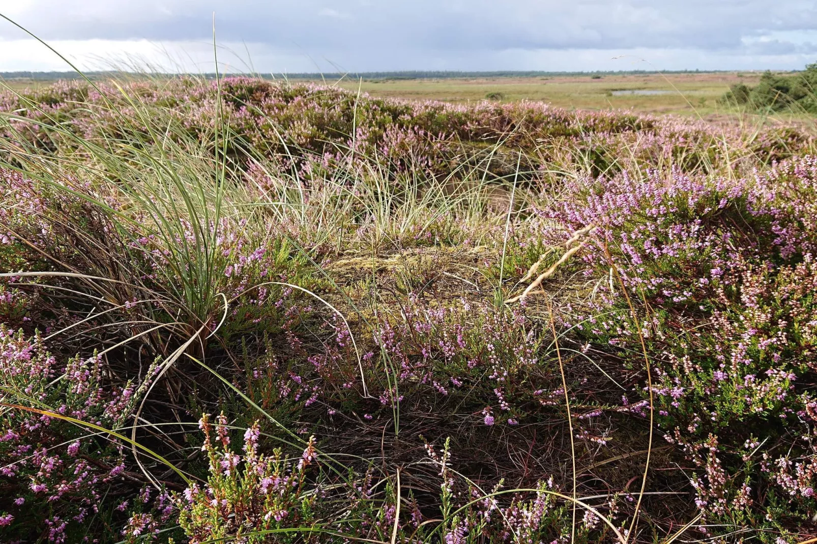 Afgelegen toevluchtsoord met uitzicht