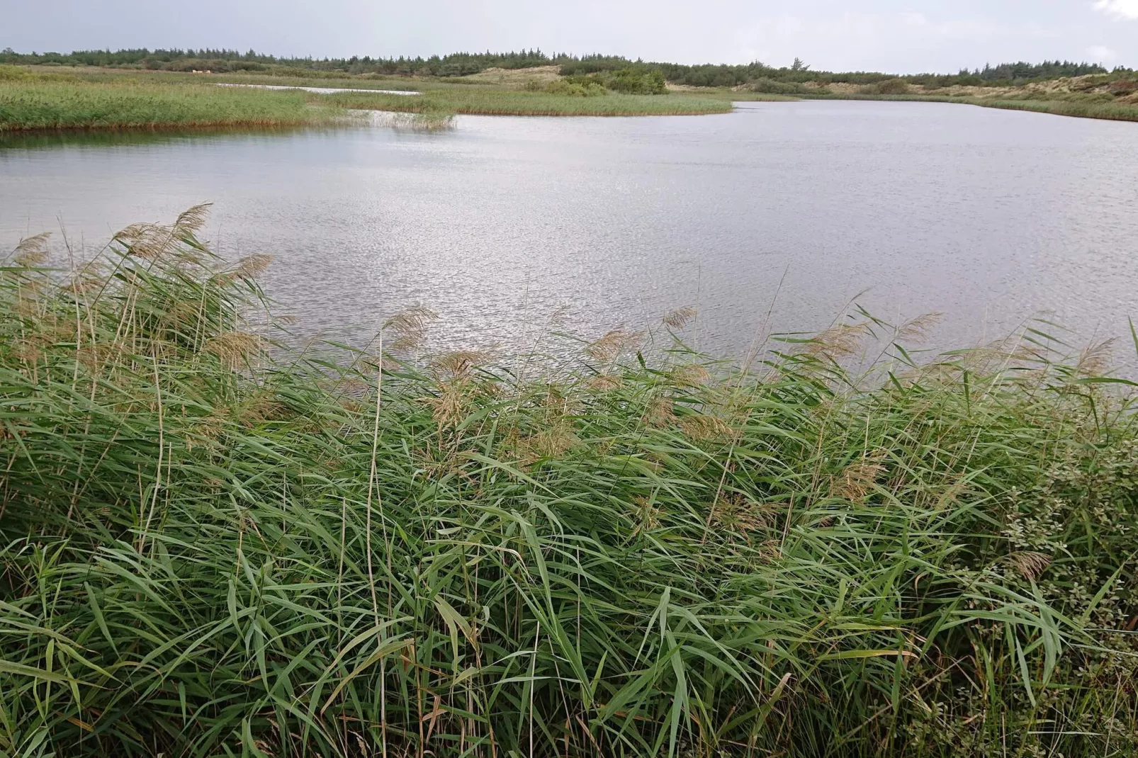 Afgelegen toevluchtsoord met uitzicht
