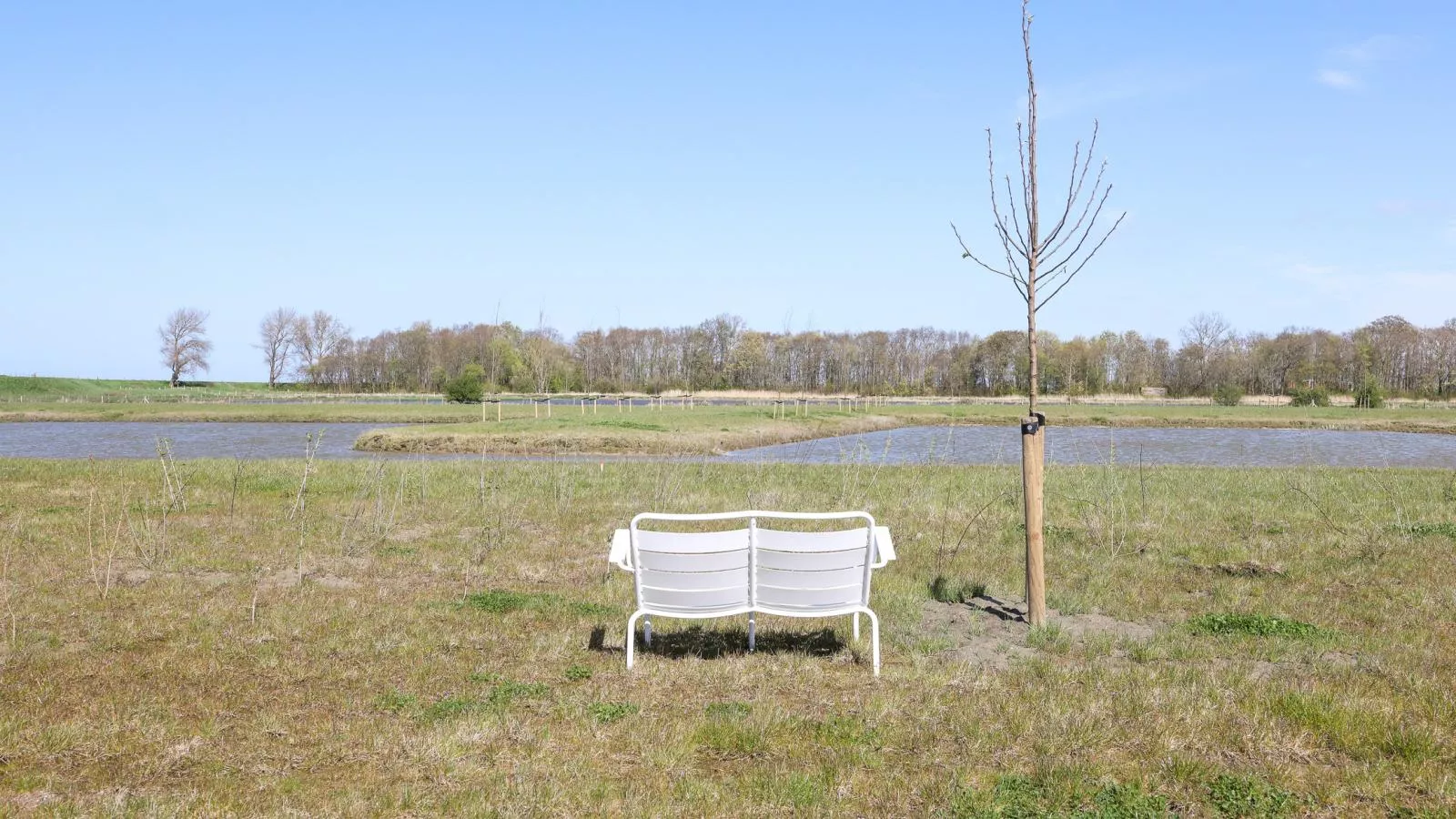 Natuur Oeverzicht - Tuinen zomer