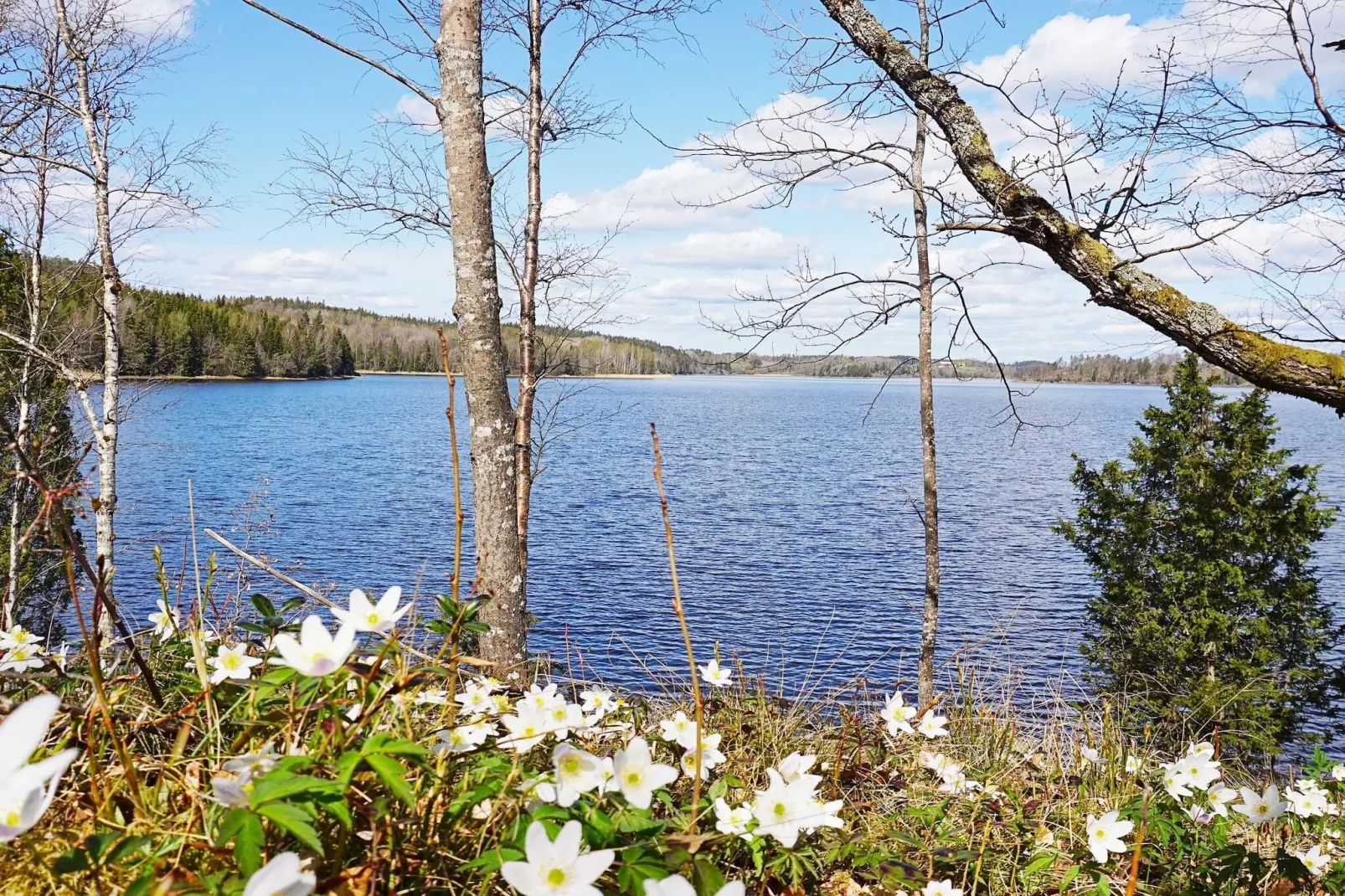 6 persoons vakantie huis in STRÖMSTAD - Niet-getagd