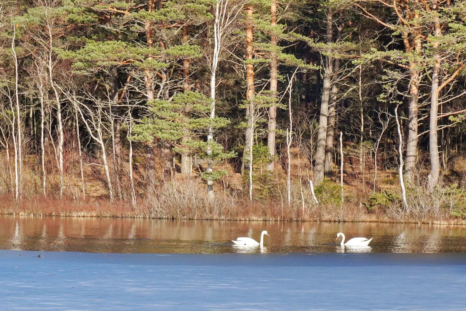 6 persoons vakantie huis in STRÖMSTAD - Niet-getagd