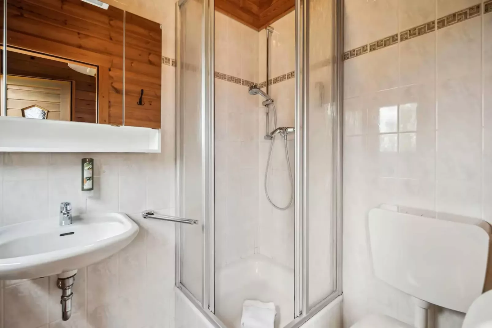 Hotel Harzhaus - Ferienhaus 1 - Badkamer