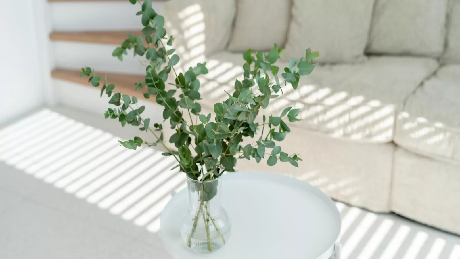 Duin Bos Retreat Oostkapelle - Sfeer