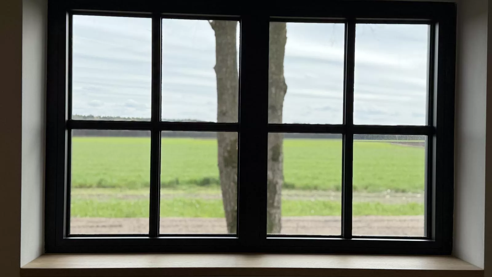 Guesthouse het Koetshuis - Uitzicht zomer