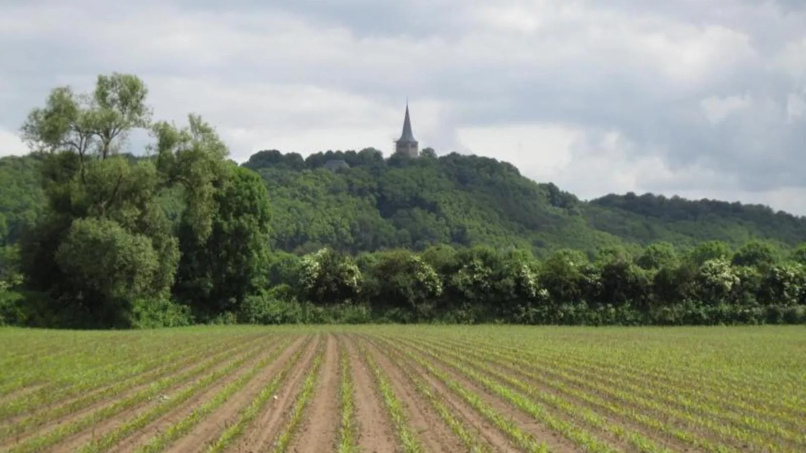 Spijk vakantiehuis - Gebieden zomer 1km