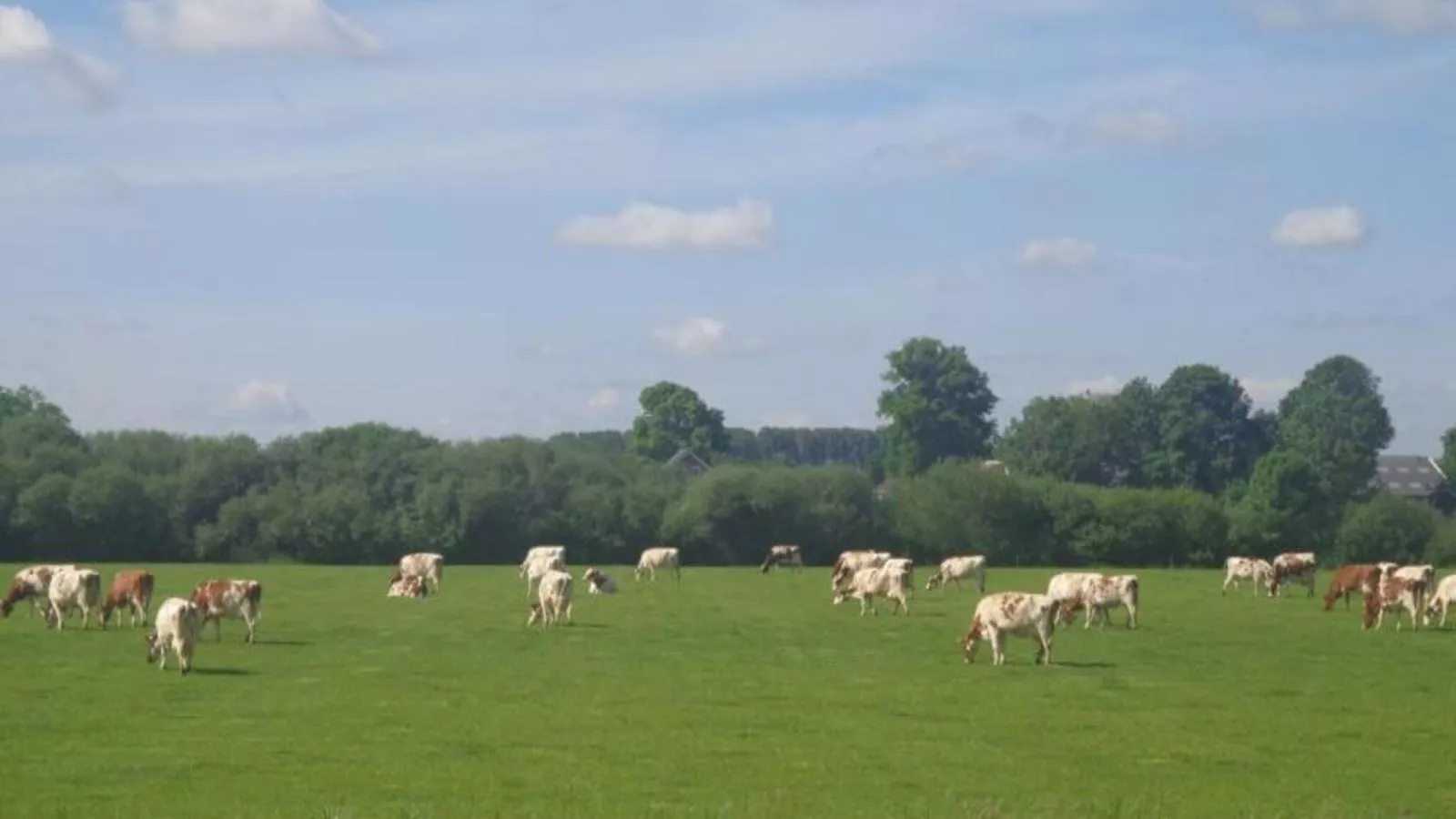 Spijk vakantiehuis - Gebieden zomer 1km