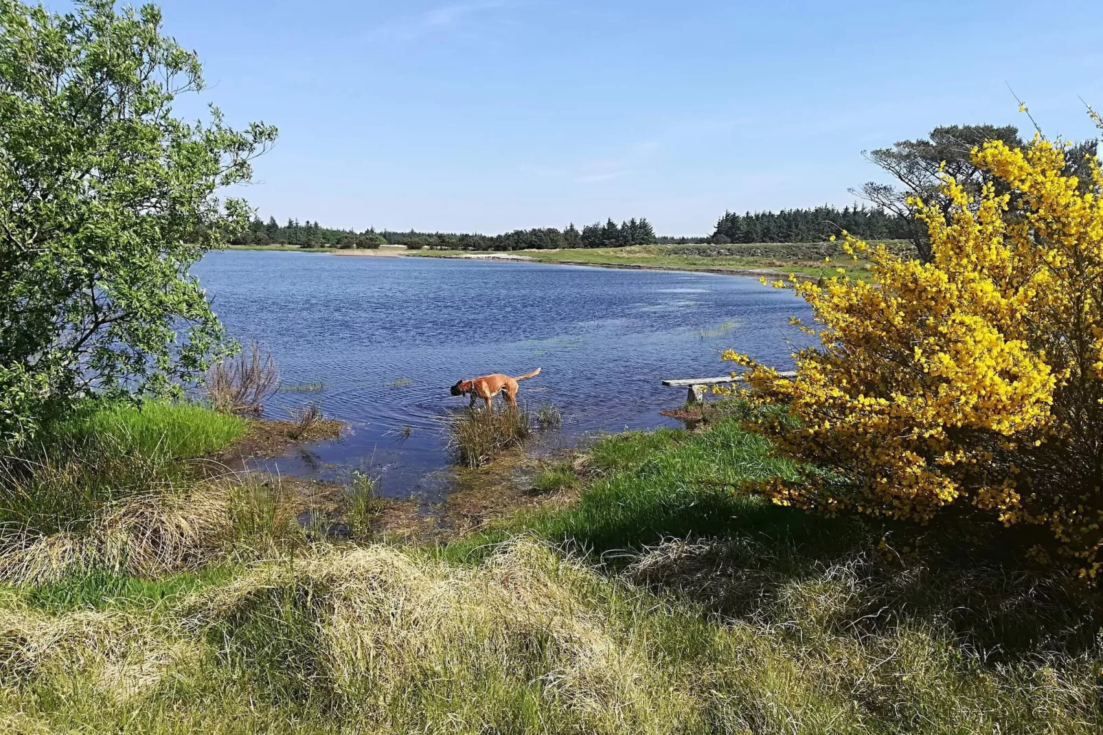 Afgelegen toevluchtsoord met uitzicht - Waterzicht