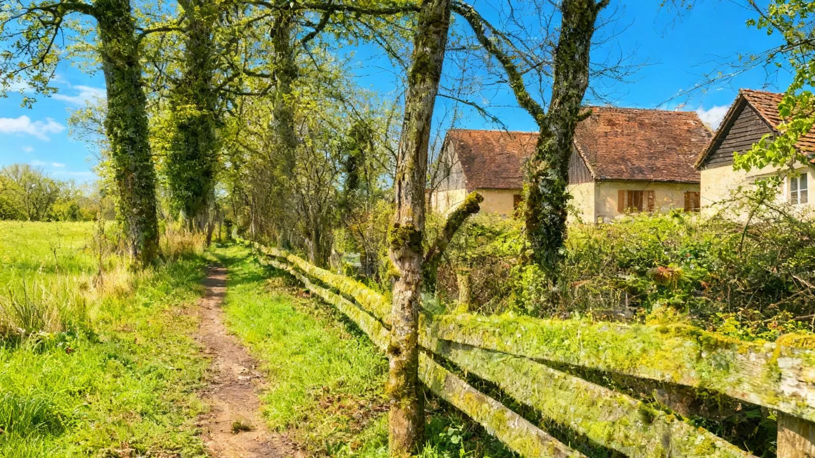 Lac Bleu nr 18 - Uitzicht zomer