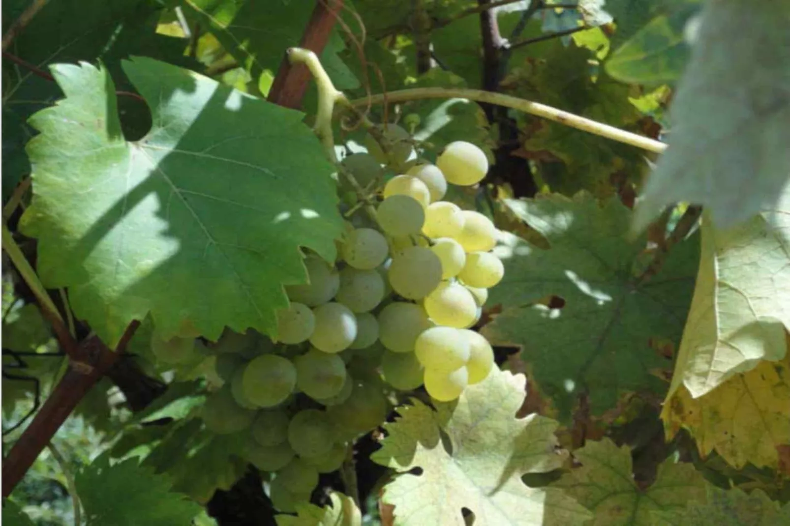 Noelie 1er Etage - Sfeer