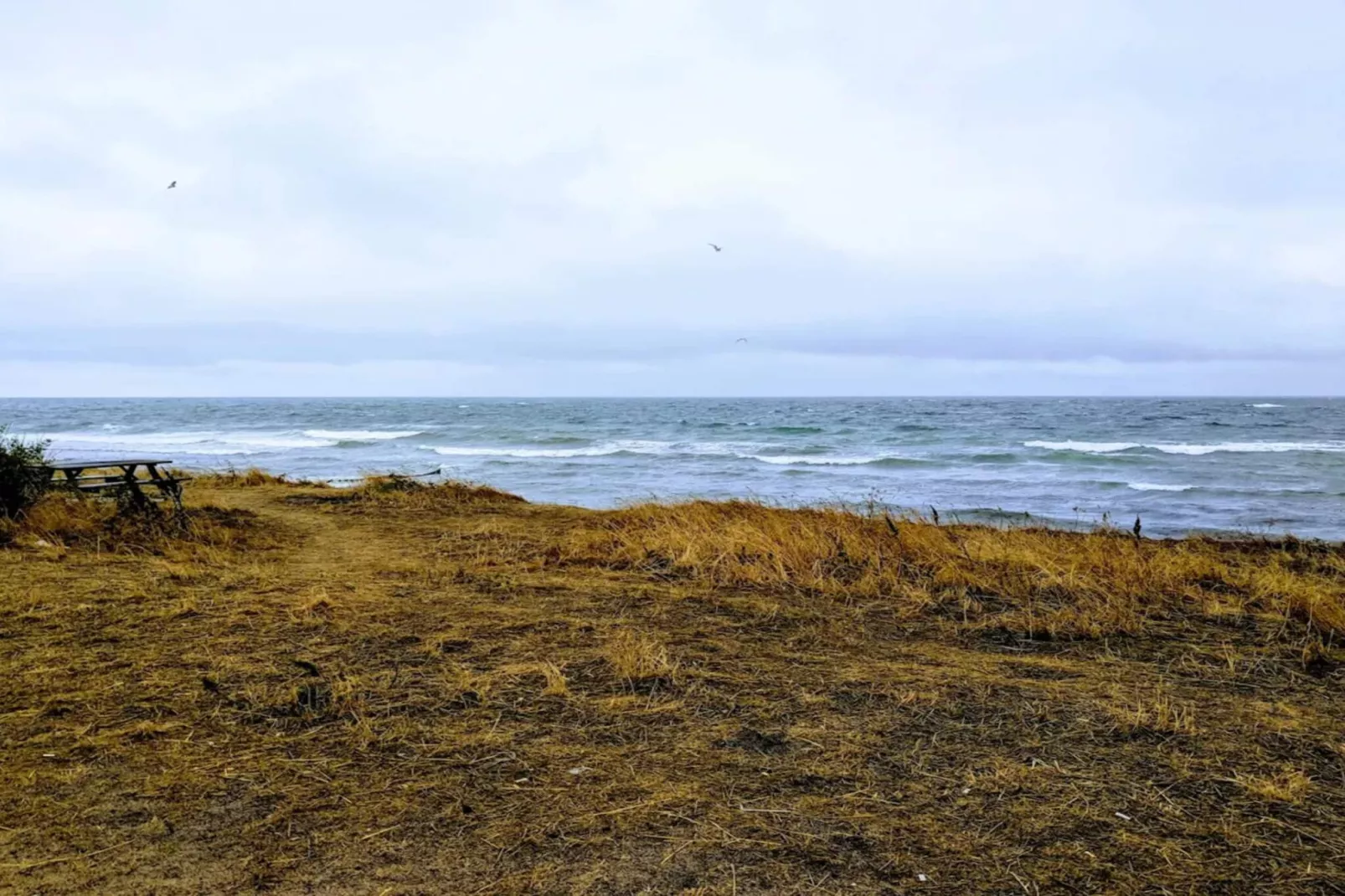 6 persoons vakantie huis in Grenaa-By Traum - Waterzicht