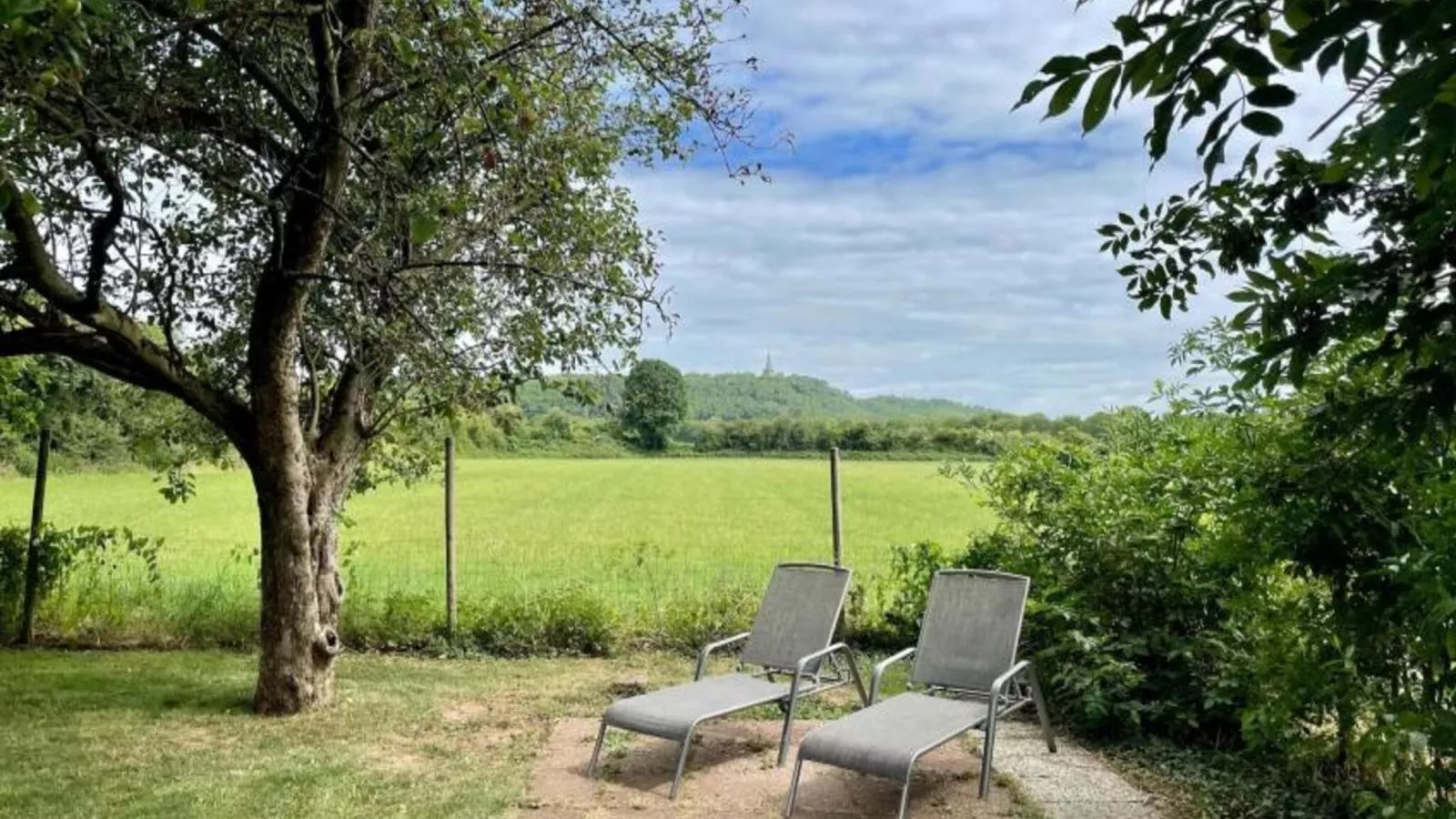 Spijk vakantiehuis - Tuinen zomer