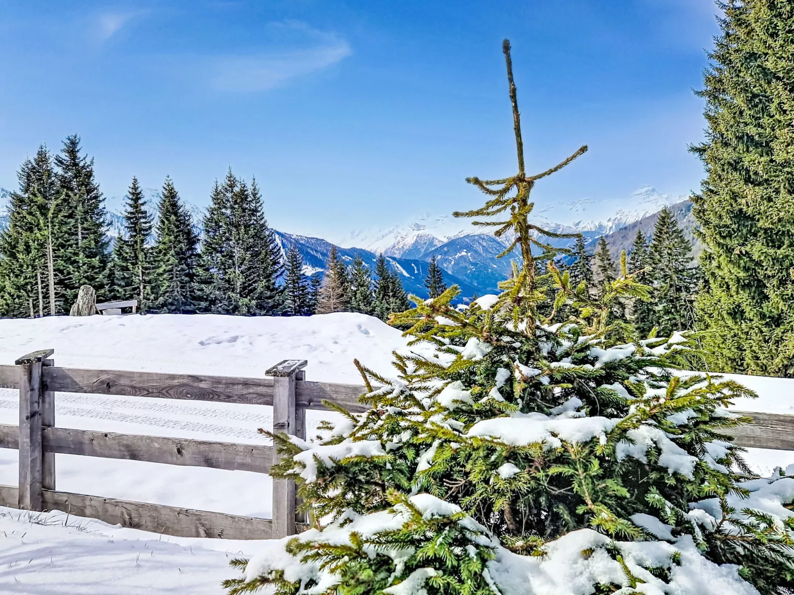 Naviser Hütte - Buiten