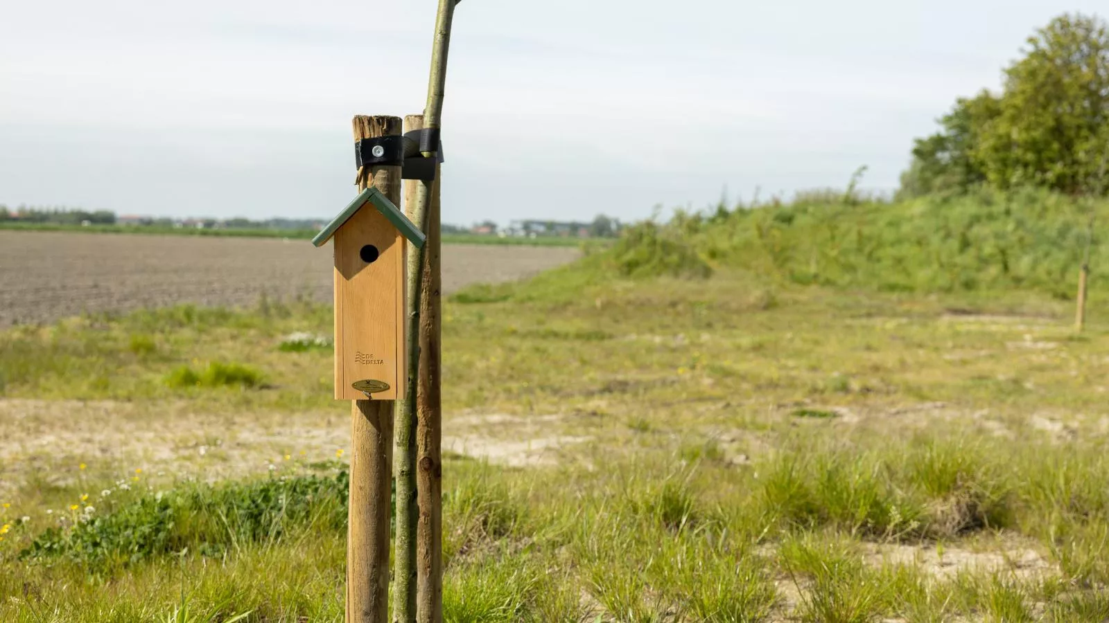Natuur Rietzoom - Tuinen zomer