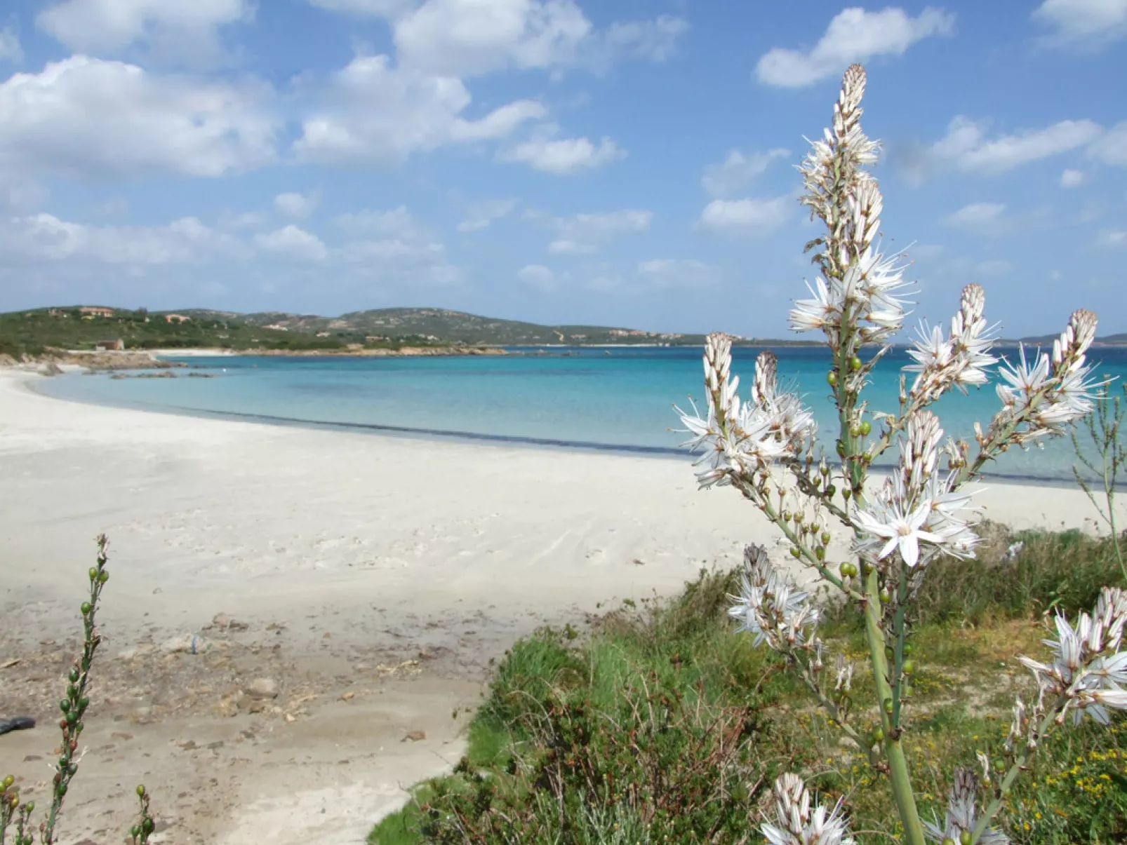 Anita Bados - Omgeving