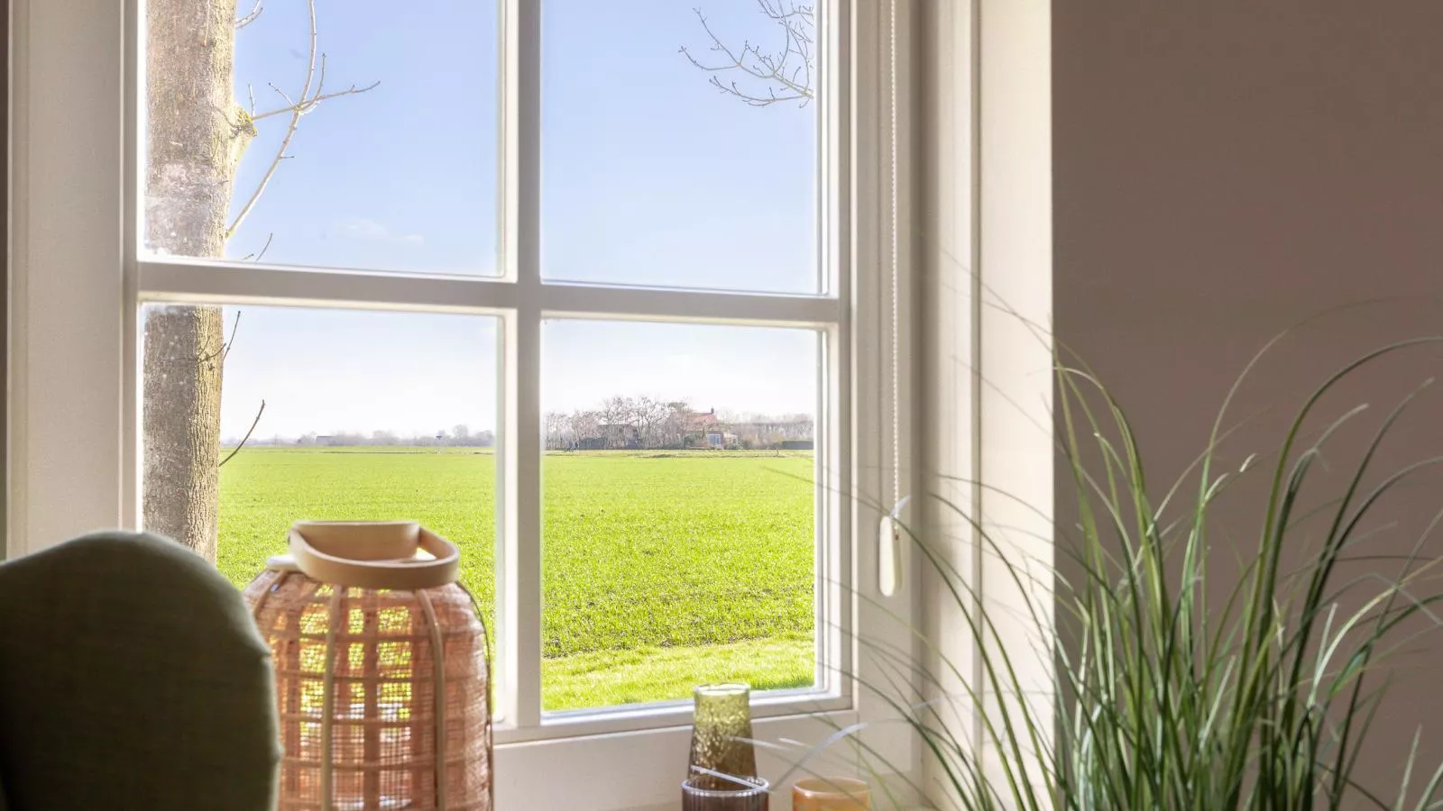 Zeeuwse Polderlodge - Uitzicht zomer