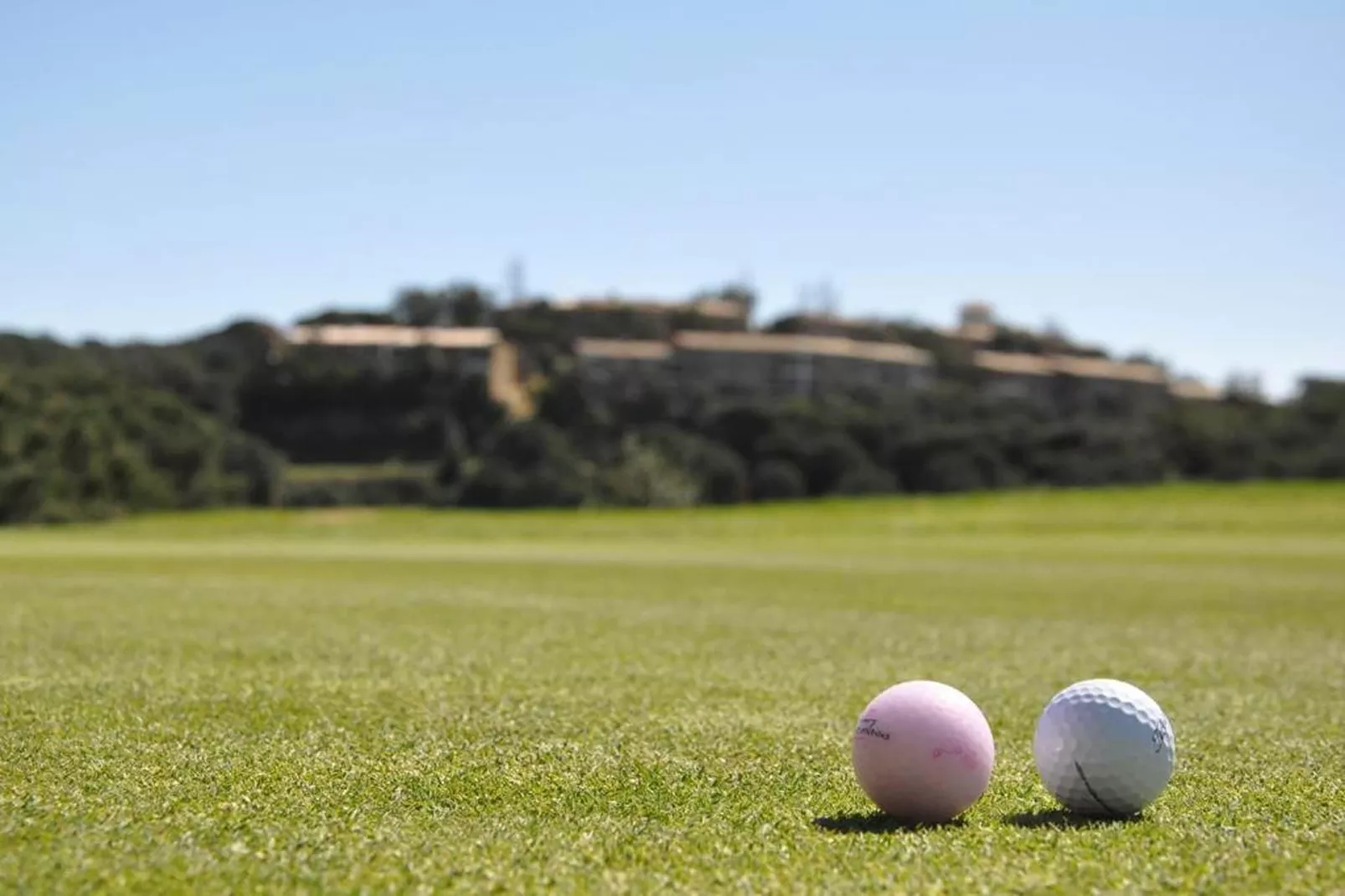 Hapi Mas Nou 3/2/4 - Gebieden zomer 1km