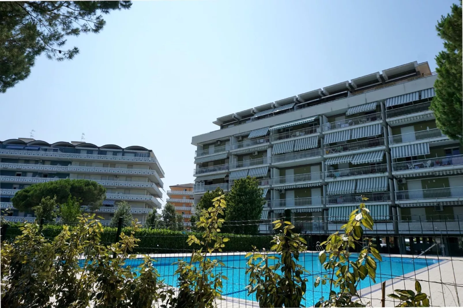 Garden 7