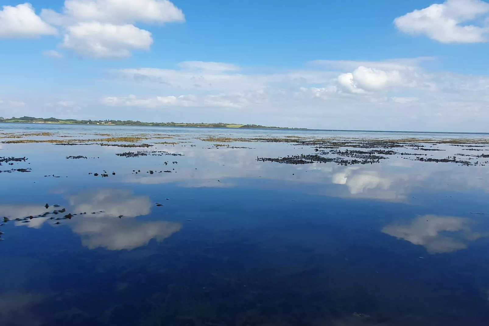 5 persoons vakantie huis in Aabenraa-By Traum - Waterzicht