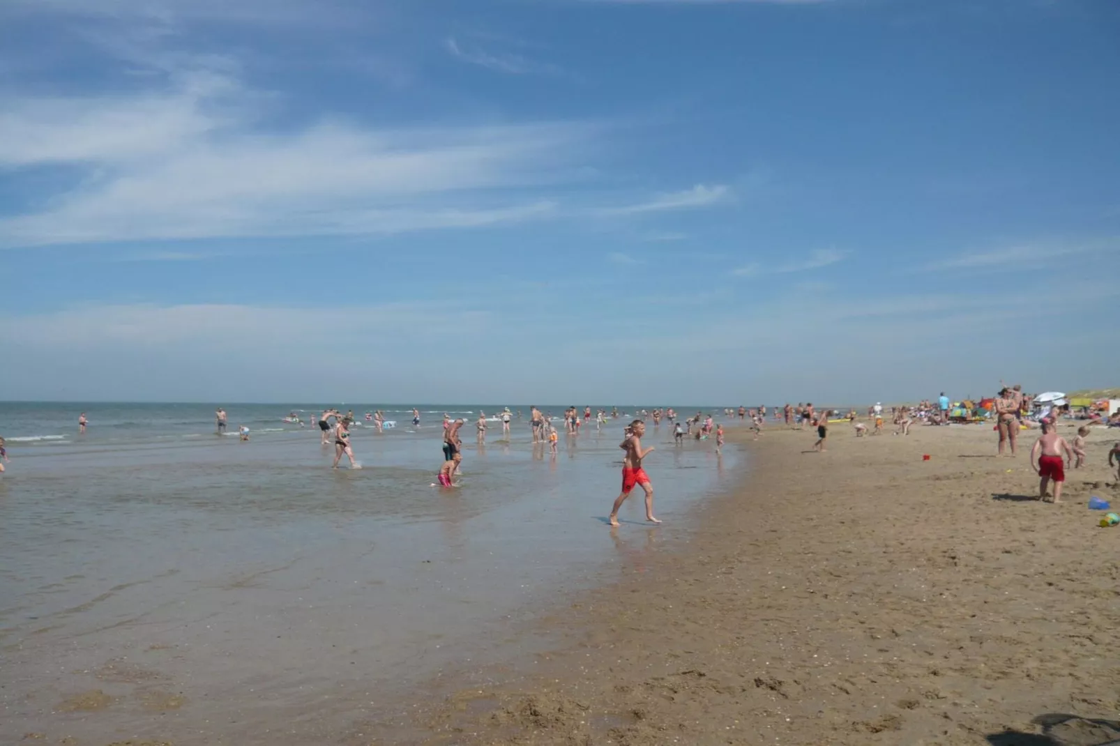 Campanula 54 - Gebied winter 5km