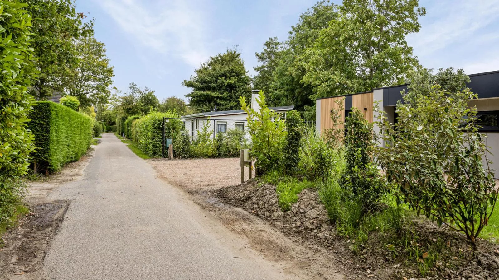 Het Duinnest - Uitzicht zomer