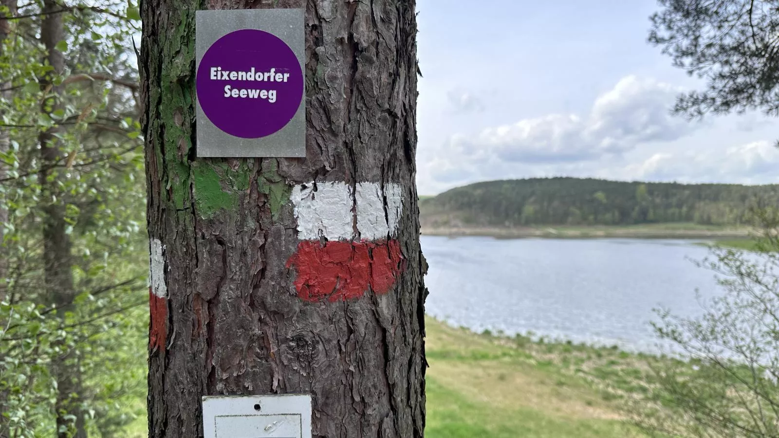 Feriendorf Seeblick - Tiny Chalet Nr 5 - Gebieden zomer 1km