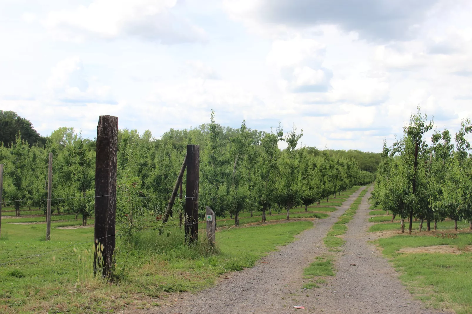 Heers Beneden - Gebieden zomer 1km