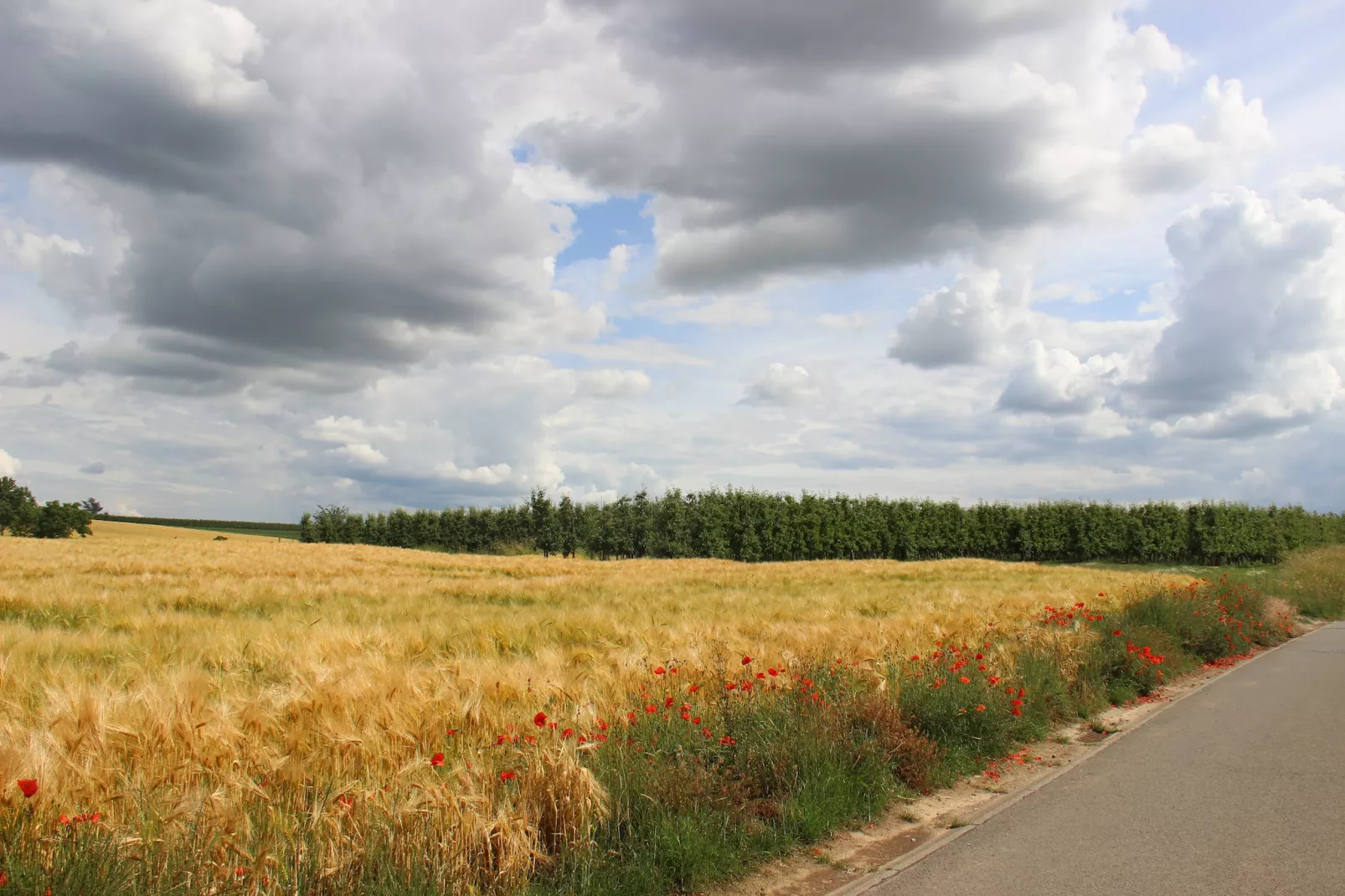 Heers Beneden - Gebieden zomer 1km