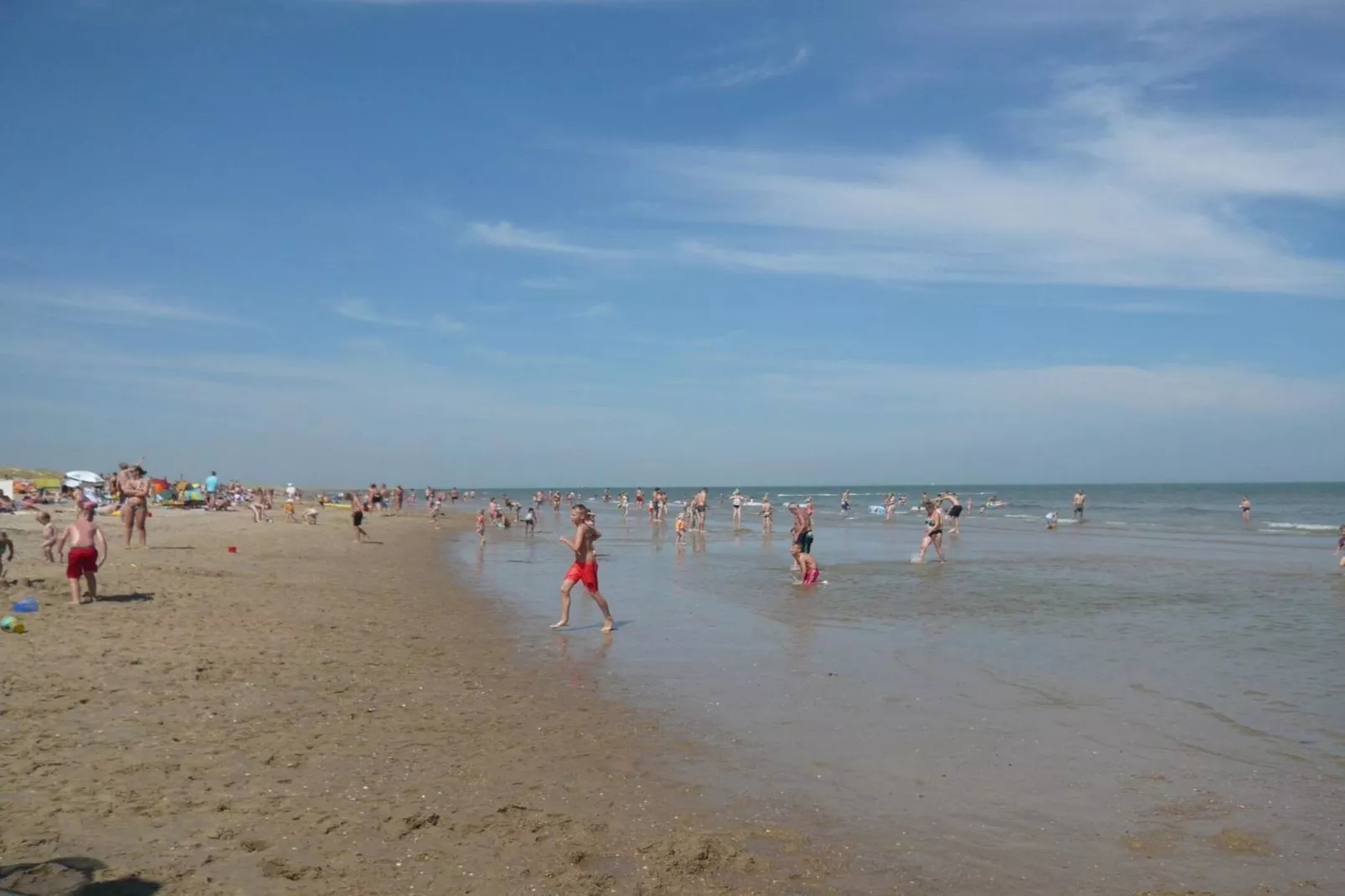 Campanula 54 - Gebieden zomer 5km