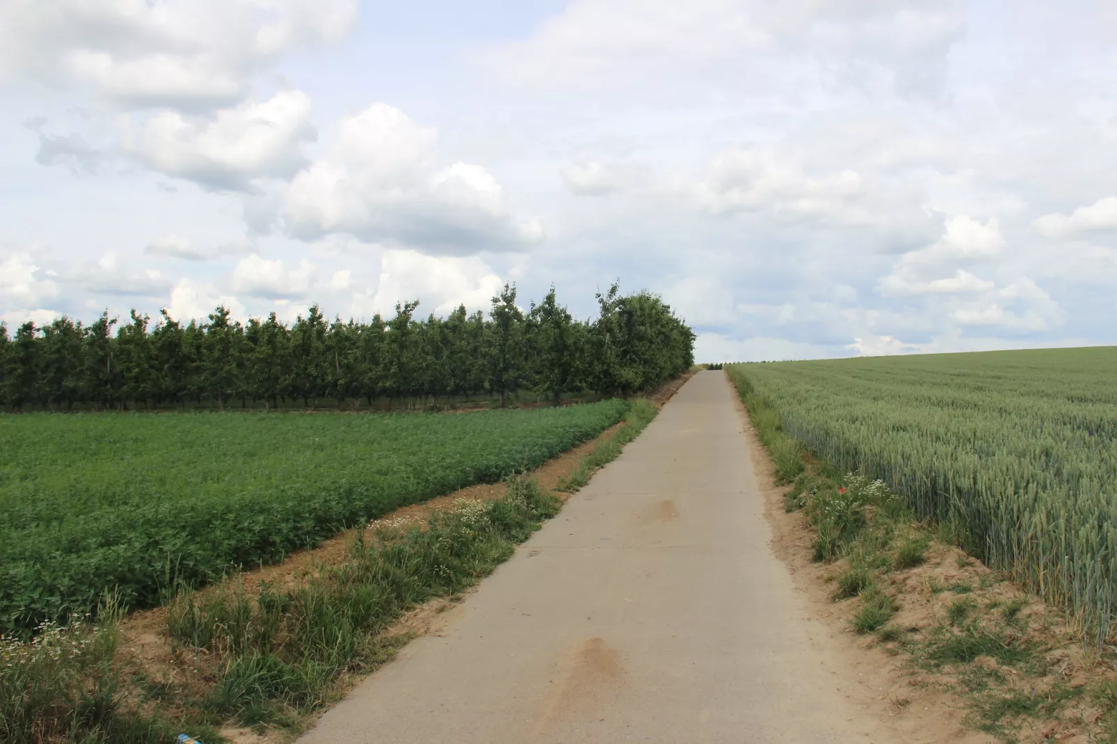 Heers Beneden - Gebieden zomer 20km