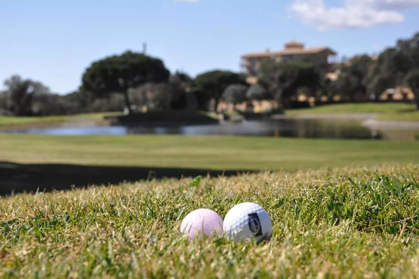 Hapi Mas Nou 2/2/4 - Gebieden zomer 20km