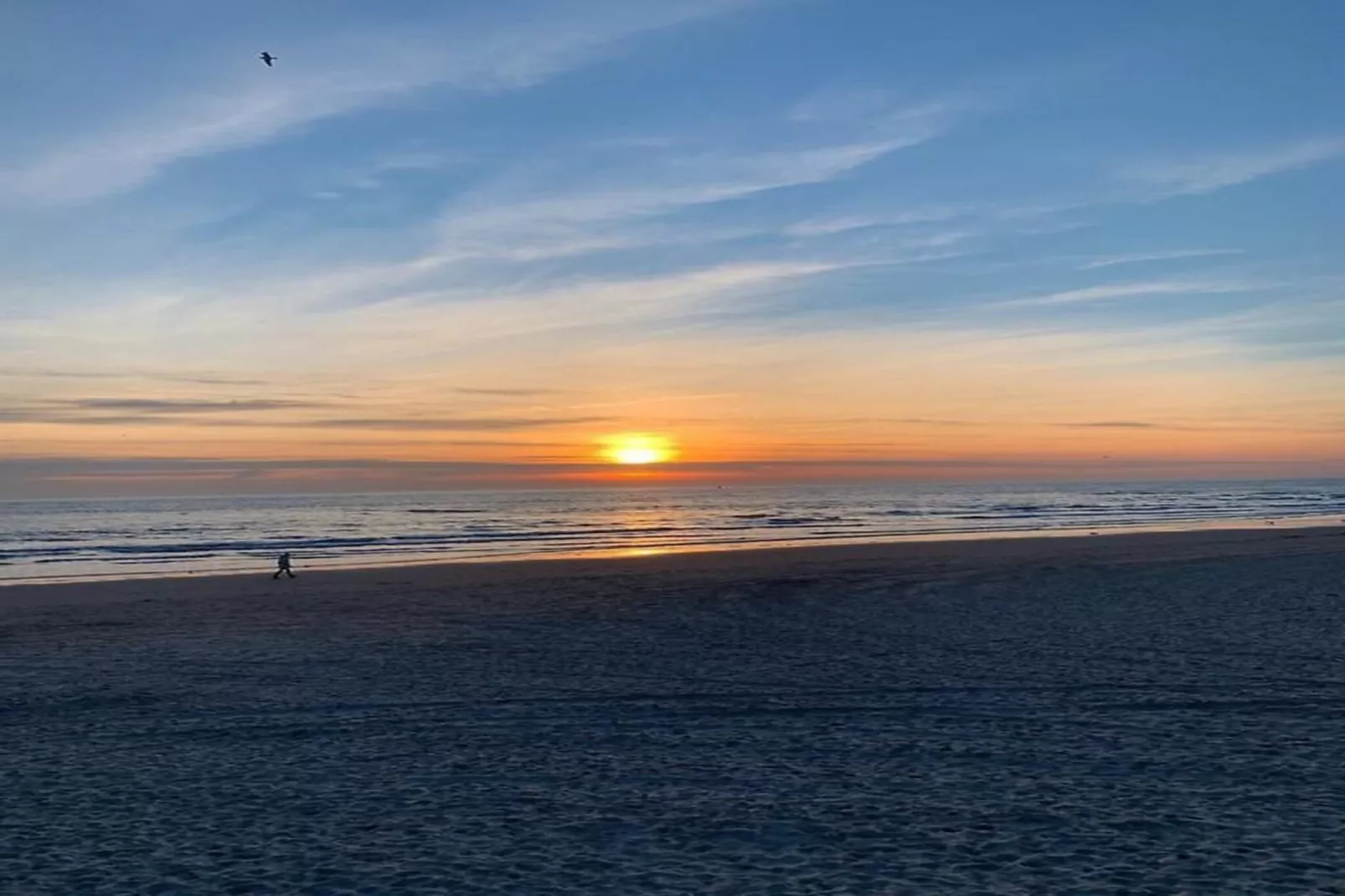 Campanula 54 - Gebieden zomer 5km