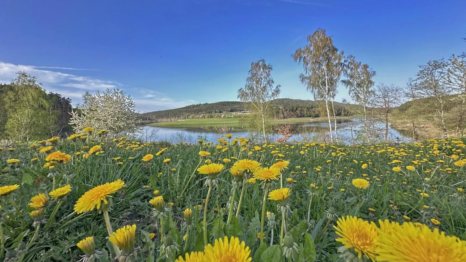 Feriendorf Seeblick - Tiny Nr 7 - Waterzicht